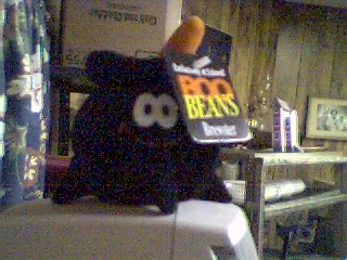 Boo Beans Brewster